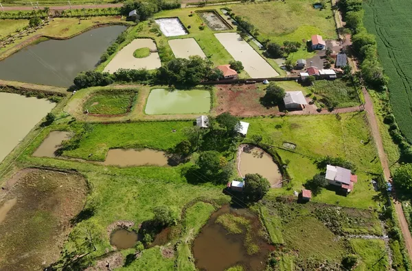 Chácara para venda em Santa Terezinha De Itaipu