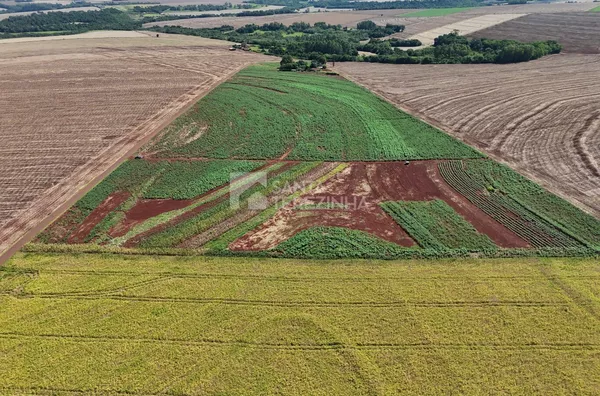 Chácara para venda,  São Vendelino, Santa Terezinha De Itaipu