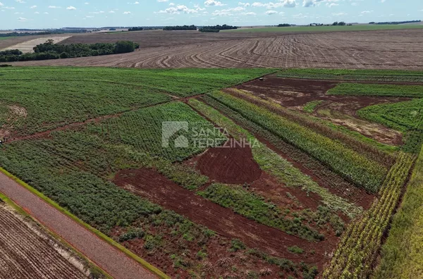 Chácara para venda,  São Vendelino, Santa Terezinha De Itaipu