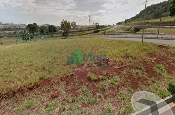Terreno para alugar, 750 m² por R$ 15.594,00/mês - Jardim Manoel Penna - Ribeirão Preto/SP