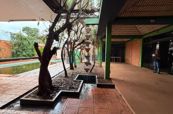 Casa para Venda – 4 quartos, 2 suítes, 8 banheiros – 729,48 m² – Bairro Jardim Sumaré | Ribeirão Preto/SP - Foto 4