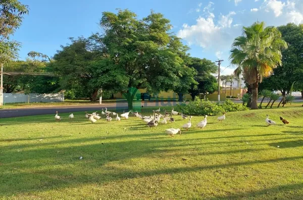 Oportunidade no Royal Park!!!!