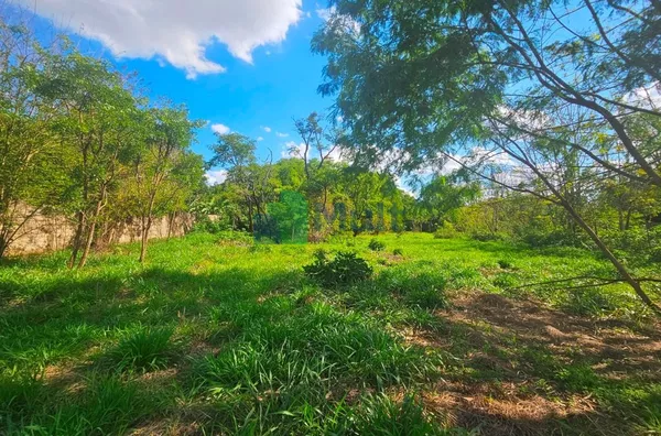 Terreno à venda, 5000 m² por R$ 500.000,00 - Recreio Internacional - Ribeirão Preto/SP