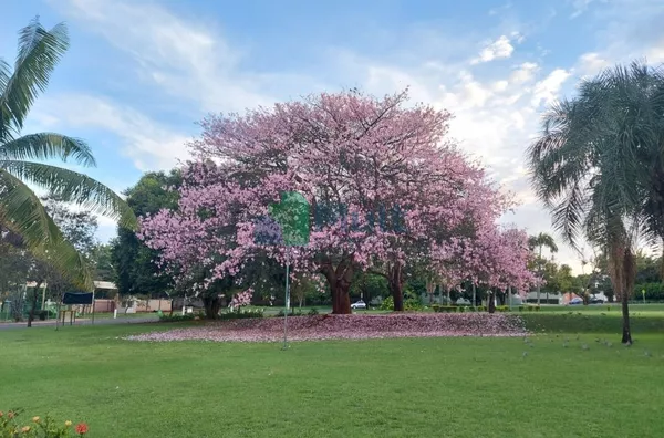 Oportunidade no Royal Park!!!!