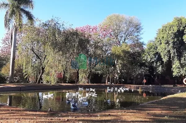 Oportunidade no Royal Park!!!!