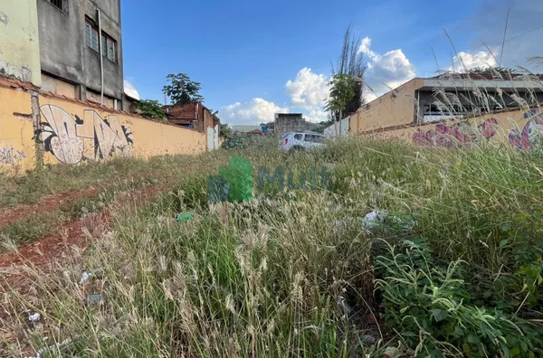 Terreno para aluguel,  Ipiranga, Ribeirao Preto