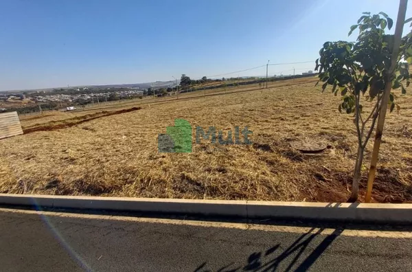 Terreno localizado no Condomínio  Jardins - Ilha Mirante com 254m².