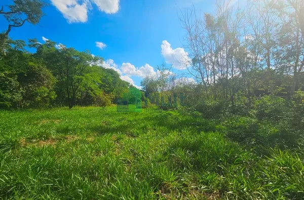Terreno à venda, 5000 m² por R$ 500.000,00 - Recreio Internacional - Ribeirão Preto/SP