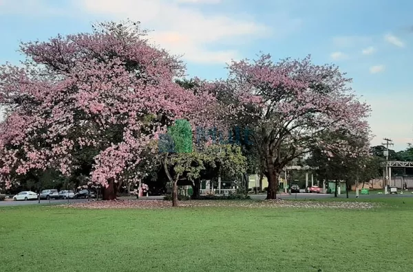 Oportunidade no Royal Park!!!!