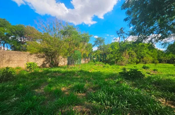 Terreno à venda, 5000 m² por R$ 500.000,00 - Recreio Internacional - Ribeirão Preto/SP