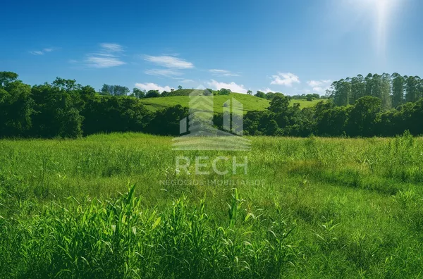 Fazenda para venda,  40 alqueires - Marema