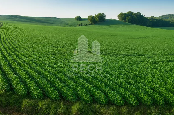 Chácara de 50.000 m²,  Interior, São Lourenco Do Oeste
