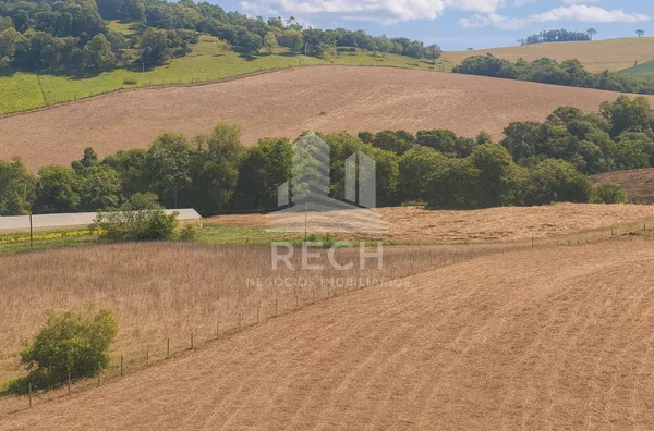 Fazenda para venda,  18,75 alqueires - Chopinzinho