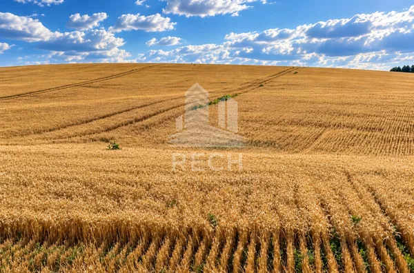 Fazenda para venda, 48 alqueires - Honório Serpa