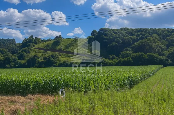 Chácara de 5.000m²,  Interior, São Lourenco Do Oeste