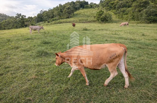 Área rural para venda,  Interior, Xavantina