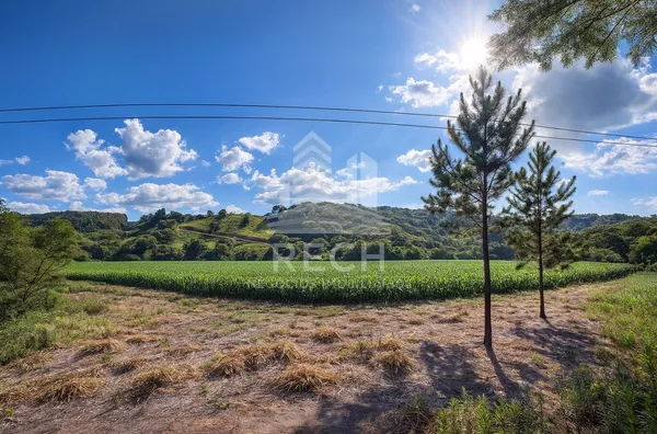 Chácara de 5.000m²,  Interior, São Lourenco Do Oeste