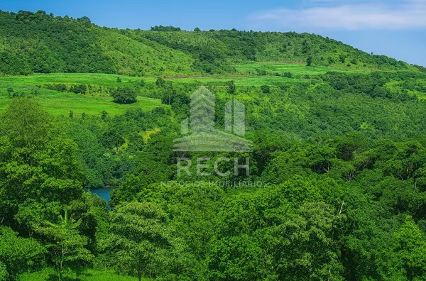 Fazenda para venda,  40 alqueires - Marema