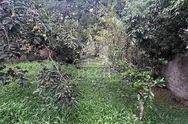 Casa com 4 quartos em terreno de 700m²