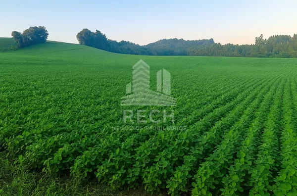 Chácara de 50.000 m²,  Interior, São Lourenco Do Oeste