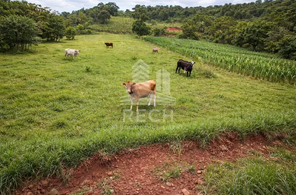 Área rural para venda,  Interior, Xavantina