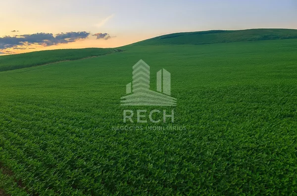 Chácara de 50.000 m²,  Interior, São Lourenco Do Oeste