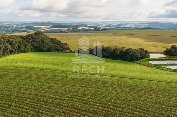 Fazenda para venda,  38 alqueires - Clevelândia