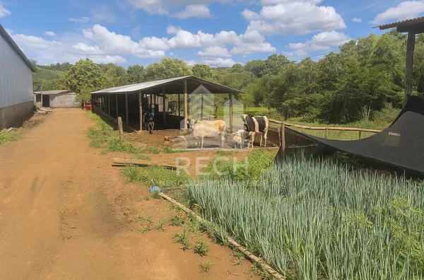 Fazenda para venda,  18,75 alqueires - Chopinzinho