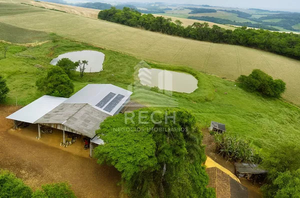 Fazenda para venda,  38 alqueires - Clevelândia