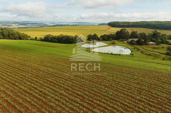 Fazenda para venda,  38 alqueires - Clevelândia