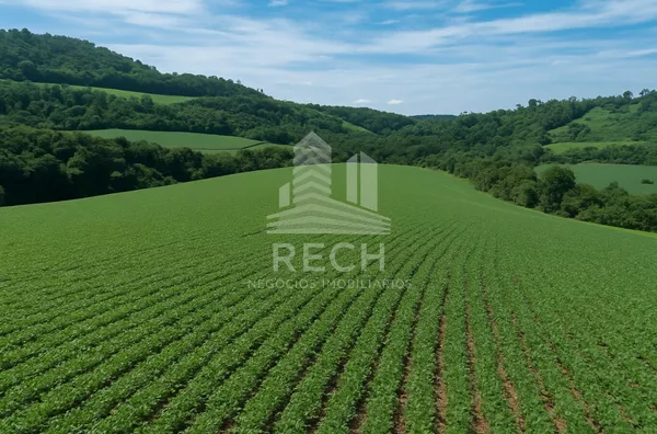 Fazenda para venda,  34,5 alqueires - Chopinzinho