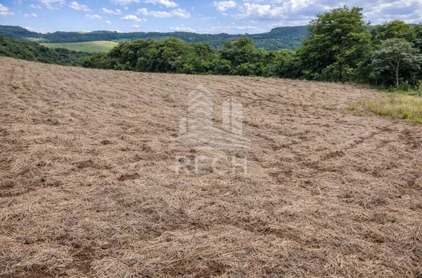 Área rural para venda,  Interior, Jupiá, casa mista, 5,4 Alqueires