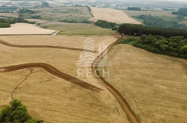 Fazenda para venda,  38 alqueires - Clevelândia