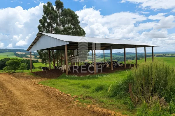 Fazenda para venda,  16 alqueires - Marmeleiro