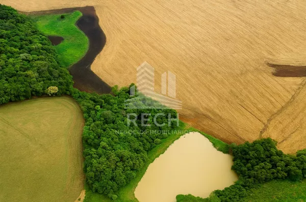 Fazenda para venda,  38 alqueires - Clevelândia