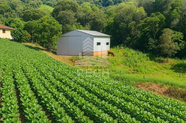 Fazenda para venda,  34,5 alqueires - Chopinzinho