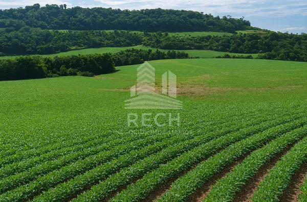 Fazenda para venda,  34,5 alqueires - Chopinzinho