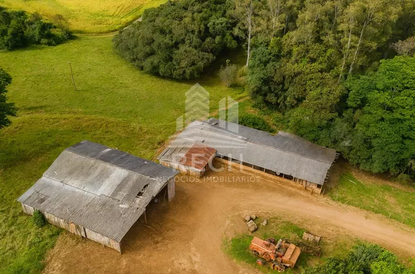 Fazenda para venda,  36 alqueires - Campo Erê