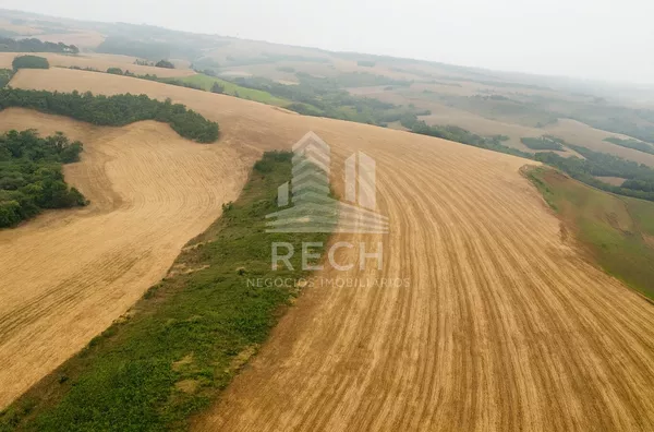 Fazenda para venda, 48 alqueires - Honório Serpa