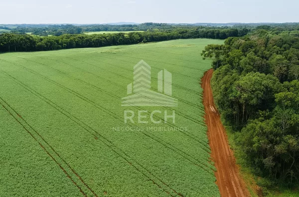 Fazenda para venda,  185 alqueires - Clevelândia