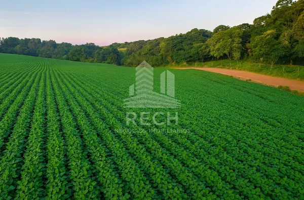 Chácara de 50.000 m²,  Interior, São Lourenco Do Oeste