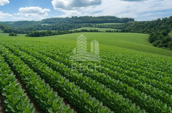Fazenda para venda,  34,5 alqueires - Chopinzinho