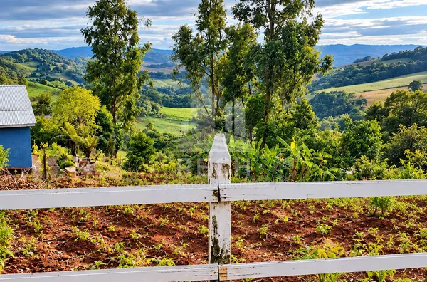 Chácara para venda, Distrito De São Roque, Sao Lourenco Do Oeste - Foto 4