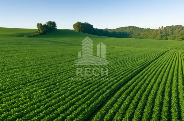 Chácara de 50.000 m²,  Interior, São Lourenco Do Oeste
