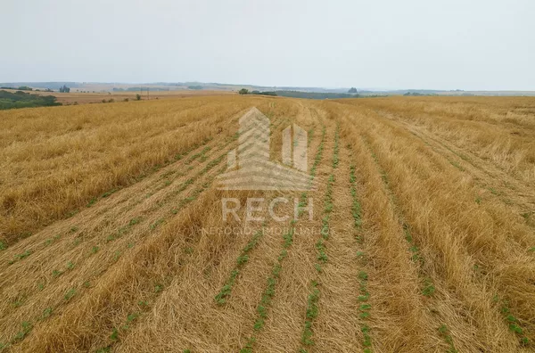 Fazenda para venda, 48 alqueires - Honório Serpa