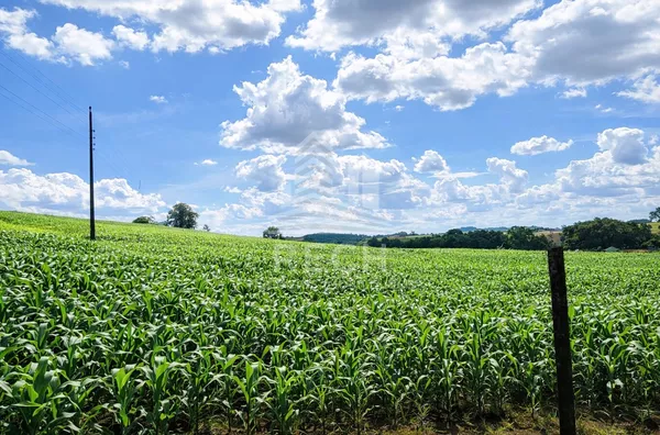 Área rural para venda,  Interior, Irati