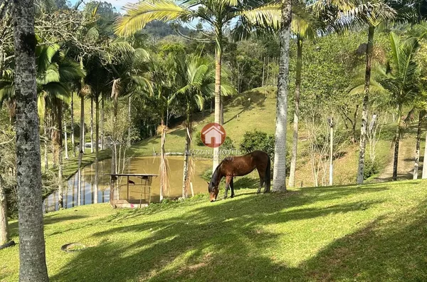 Vende-se Sítio com Casa em Ribeirão Strey, Aurora / SC
