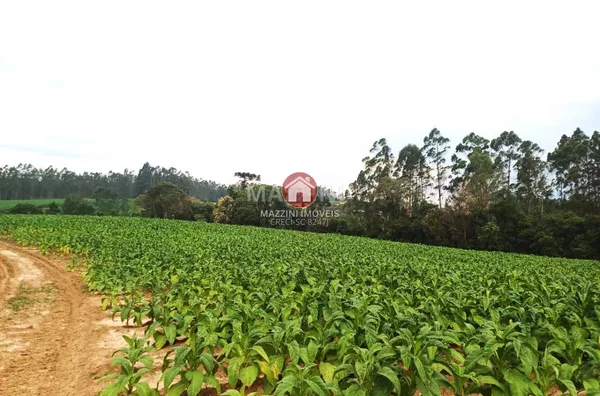 Vende-se Sítio em Alto Mosquitinho, Agronômica / SC