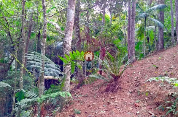 Vende-se Terreno no bairro Sumaré, Rio do Sul / SC