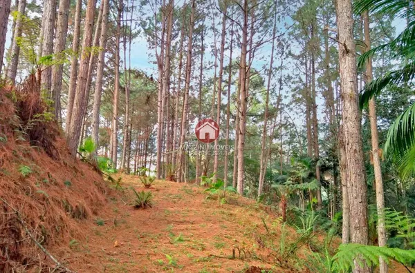 Vende-se Terreno no bairro Sumaré, Rio do Sul / SC